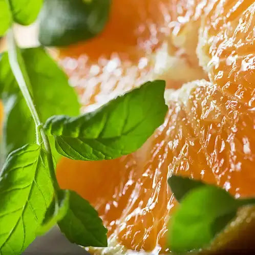 2oz Orange Grove Mini Mason Soy Jar Candle