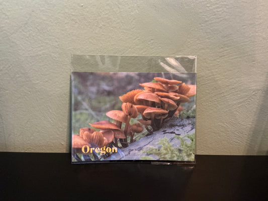 Oregon Mushroom Postcard