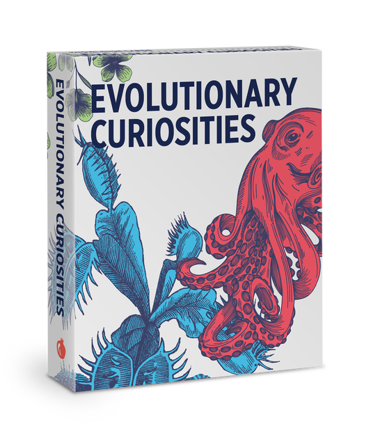 Evolutionary Curiosities Knowledge Cards