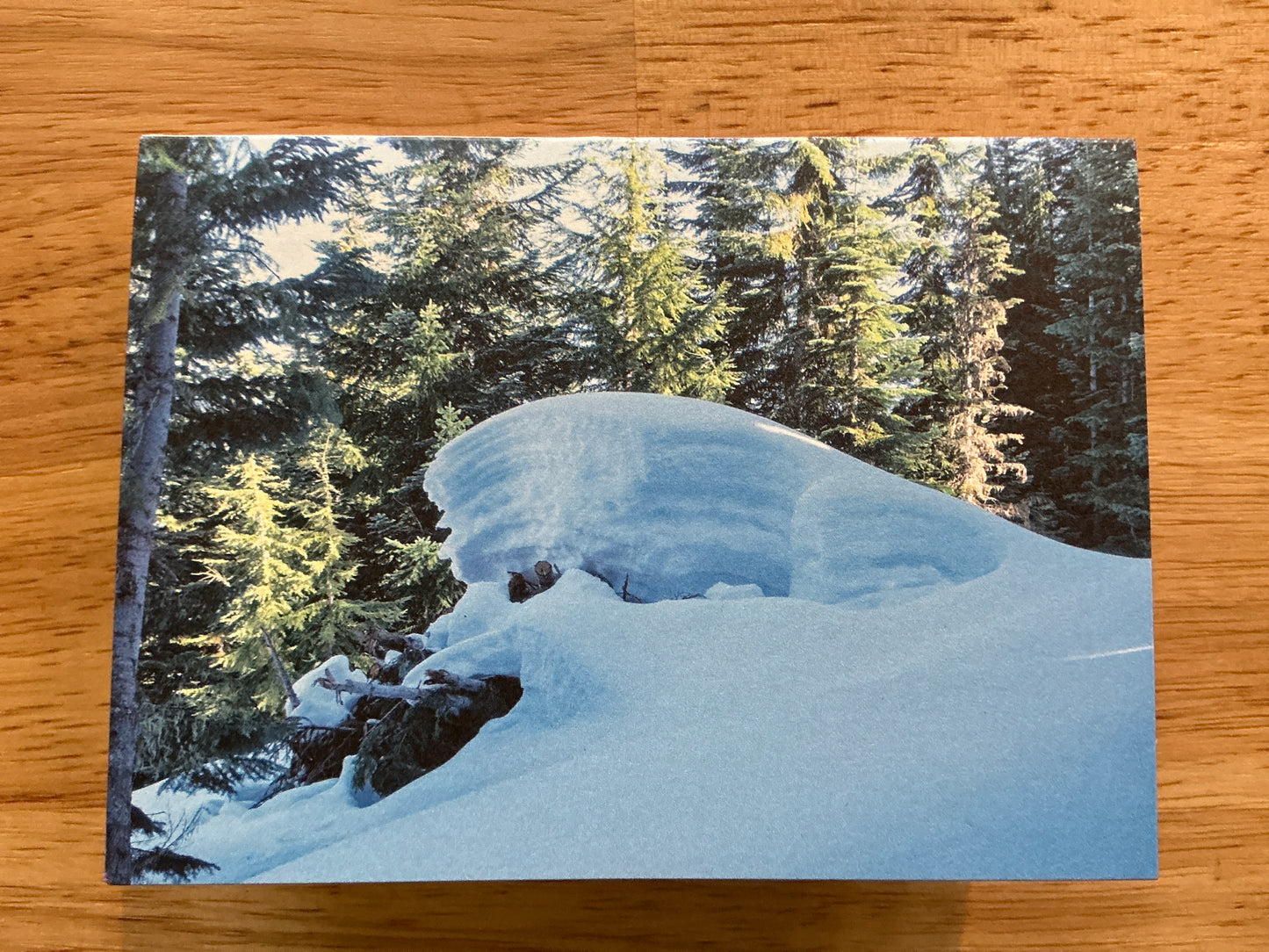 Snow Wave Greeting Card
