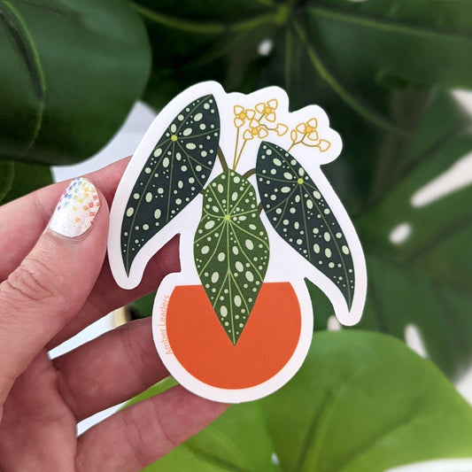 Polka Dot Begonia Vinyl Sticker