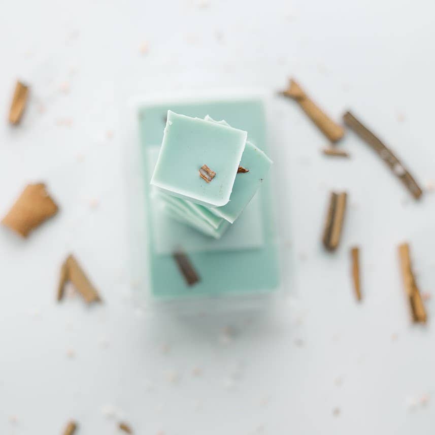 High Tide 6 oz Soy Wax Melt