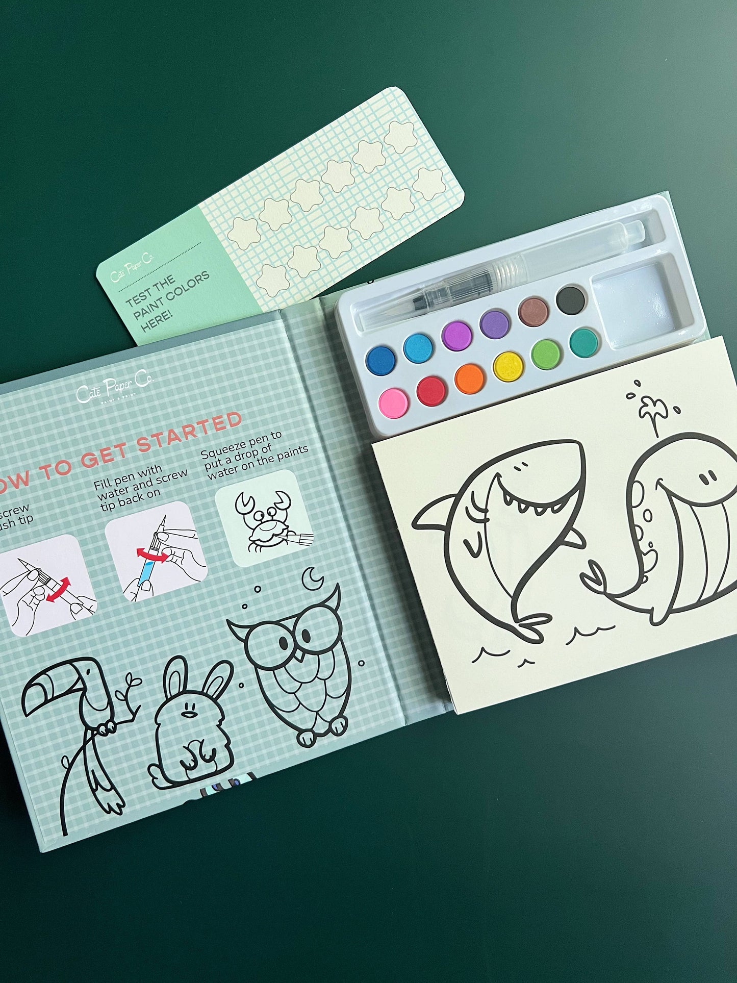 Animal Kingdom - Watercolor Book and Paint Set