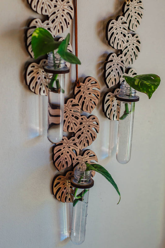 Monstera Hanging Propagation Station - Brunette