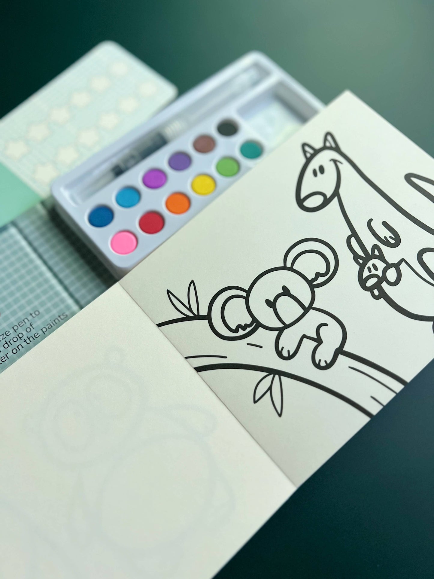 Animal Kingdom - Watercolor Book and Paint Set