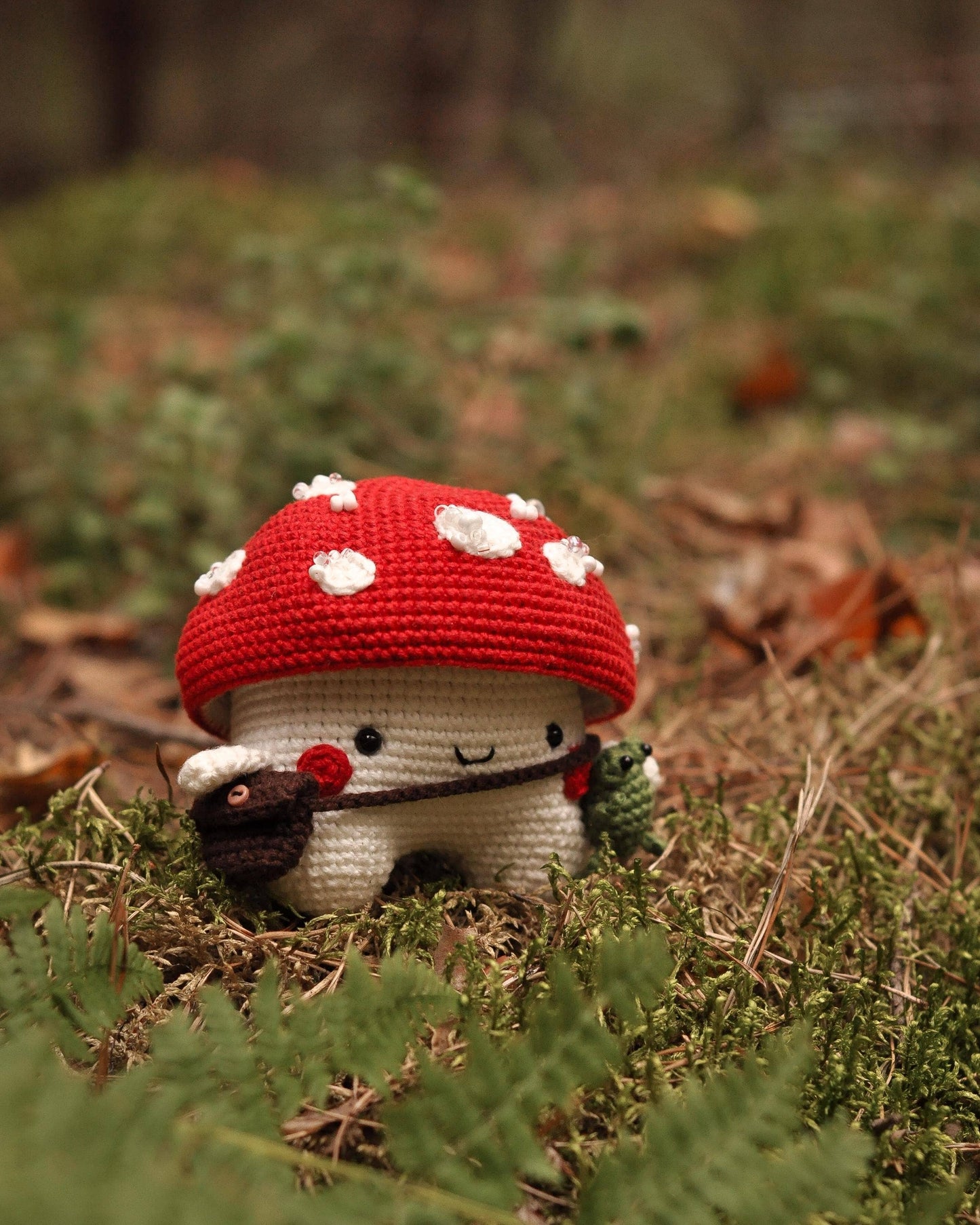 Crochet Mushroom With Green Frog, Amigurumi Mushroom Decor