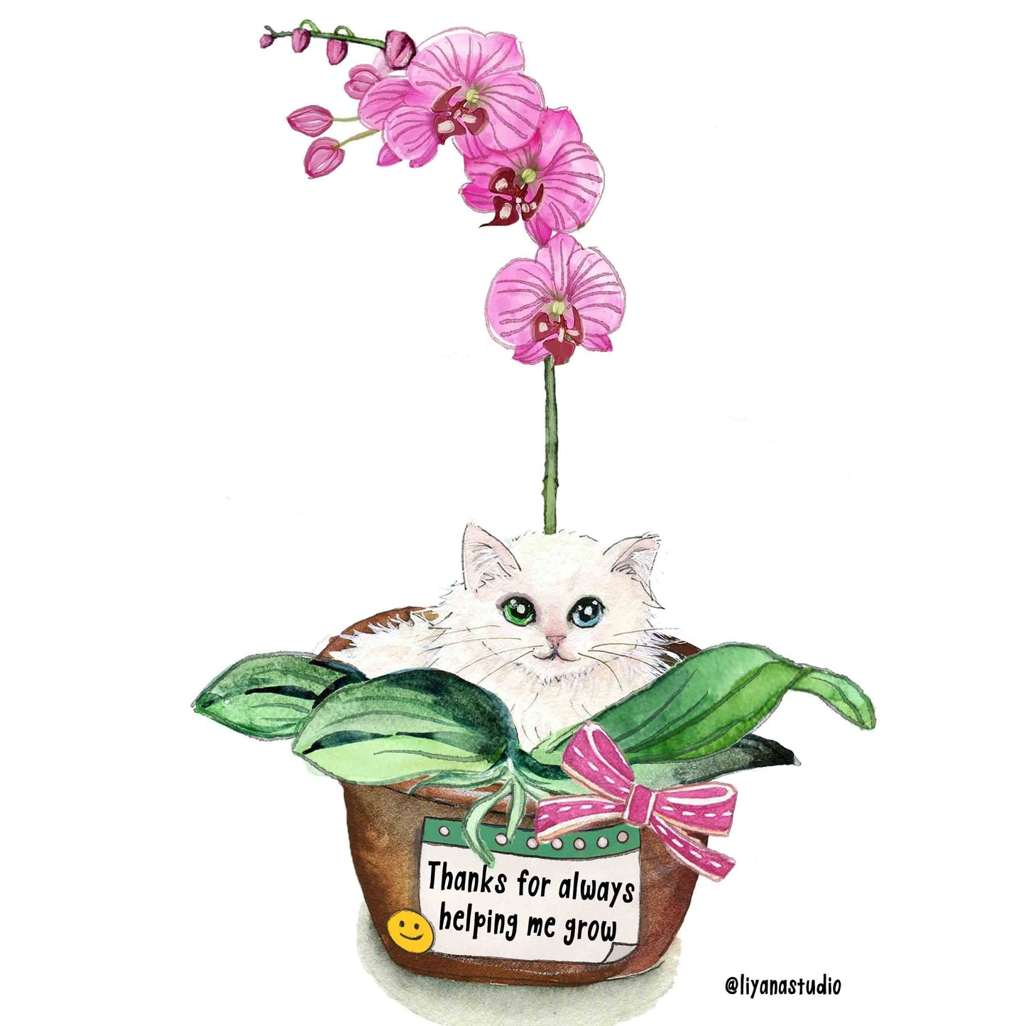 Your Orchid Mom - Funny Mother's Day Card