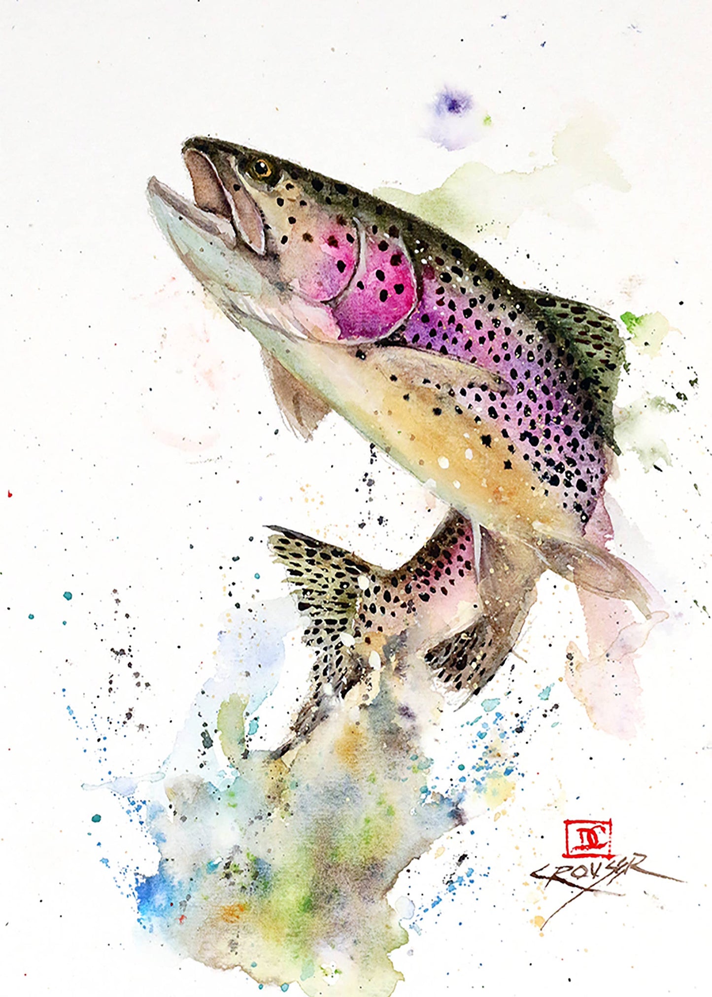 Jumping Rainbow 5x7" Greeting Card