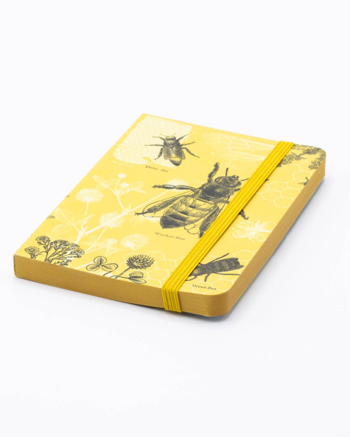Honey Bee Observation Softcover