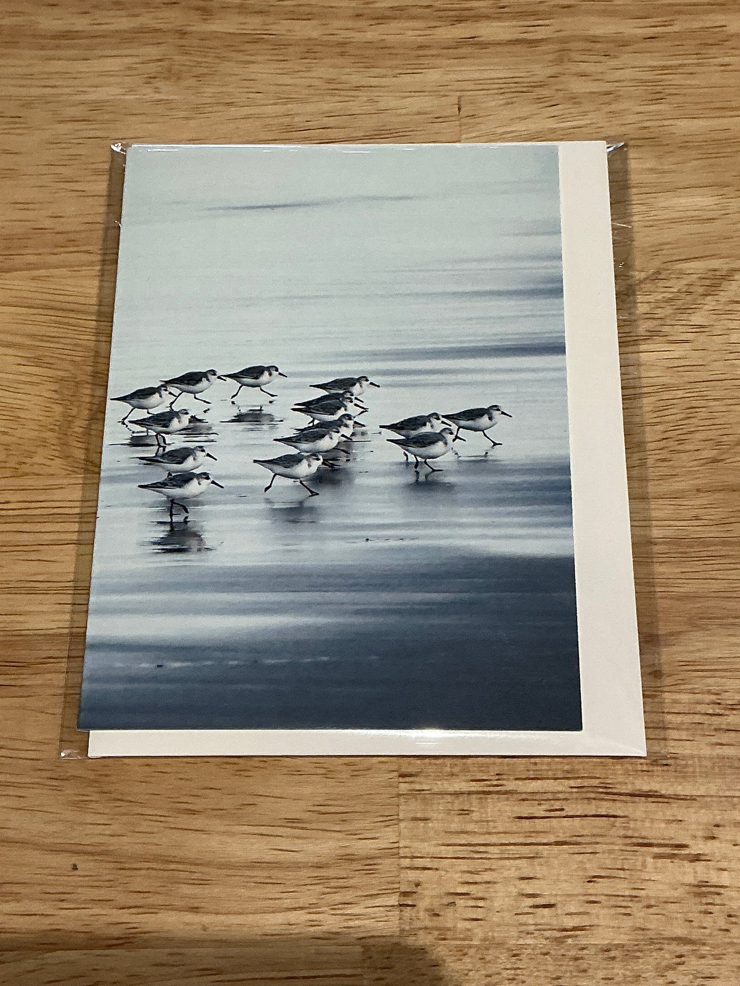 Another Flocking Week Card