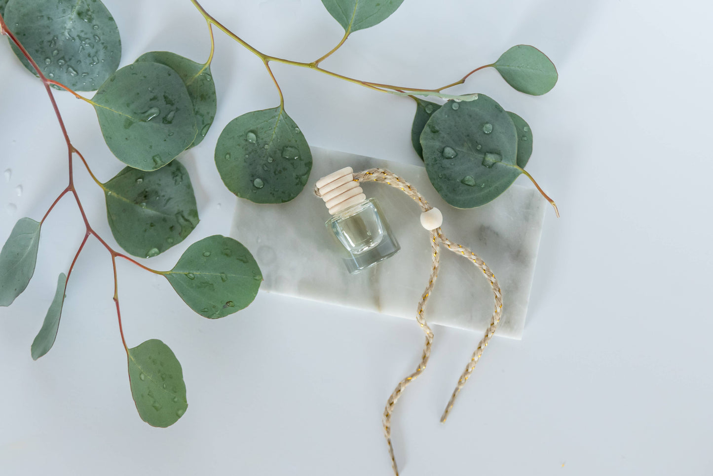 Car Diffuser: Eucalyptus Rain