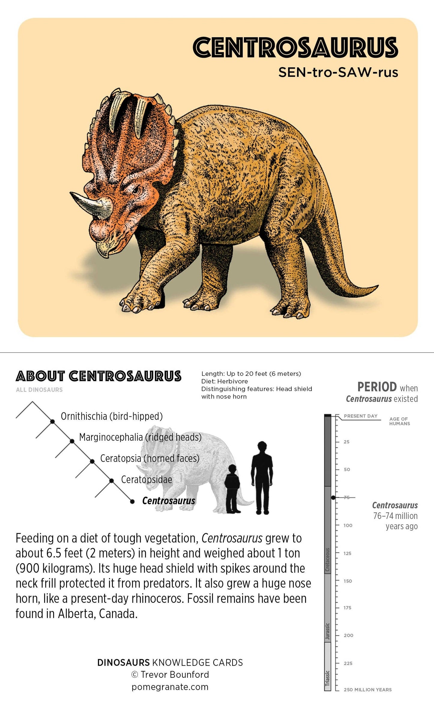 Dinosaurs Knowledge Cards