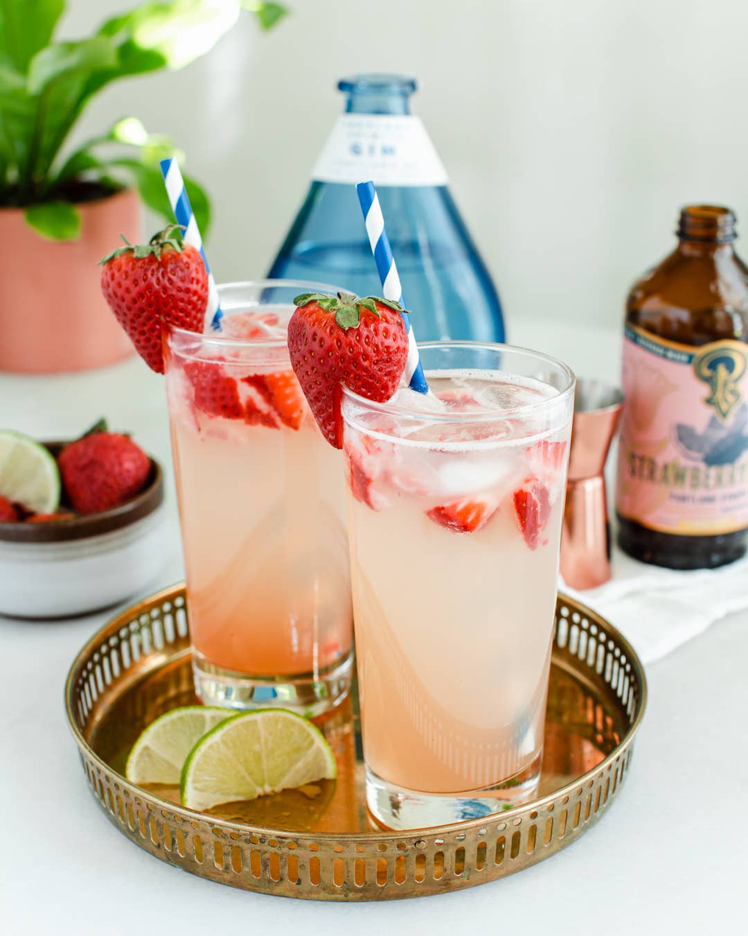 Strawberry Lemon Lime Syrup 3.4oz - cocktail / mocktail mix