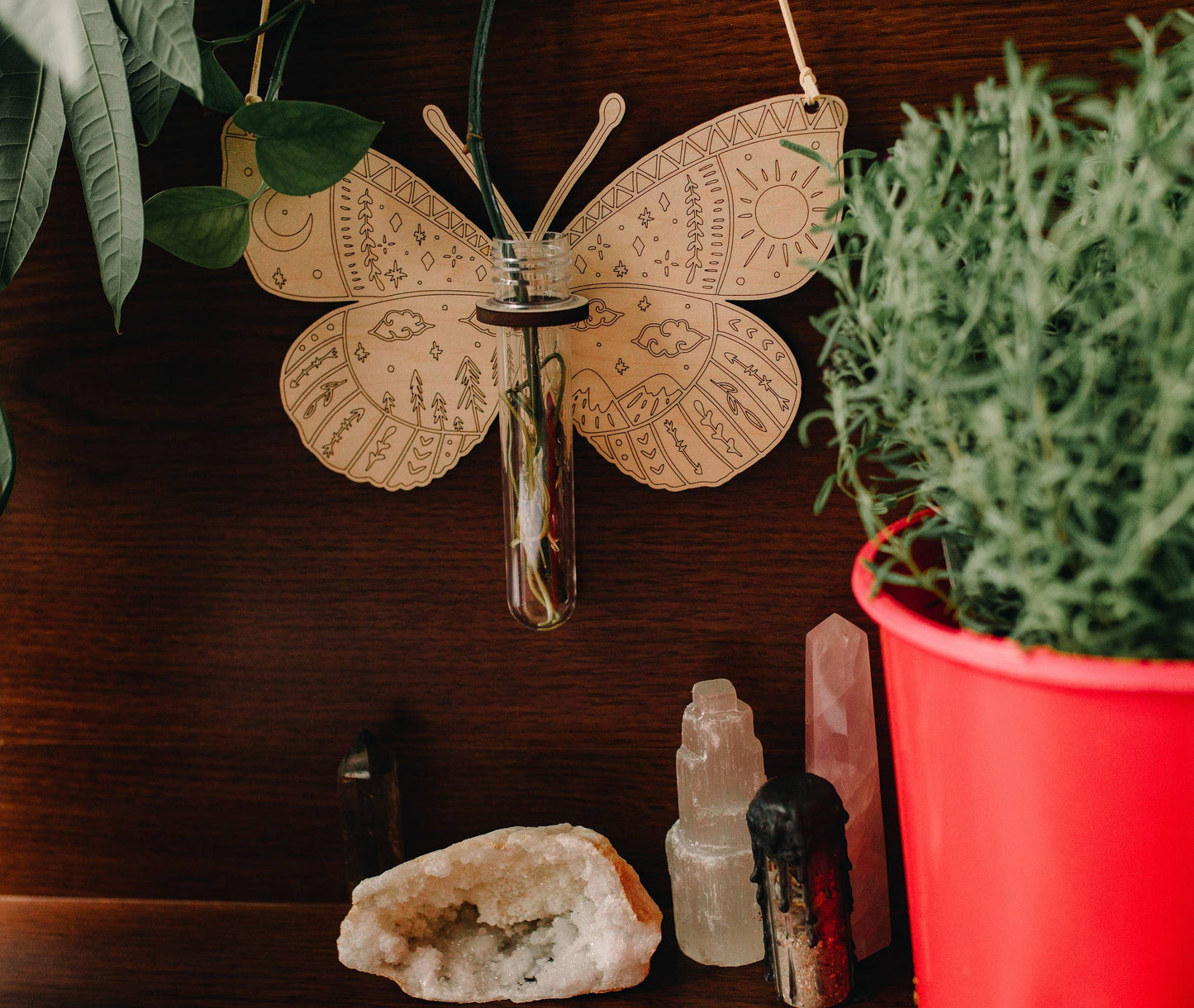 Cosmic Butterfly Hanging Propagation Station