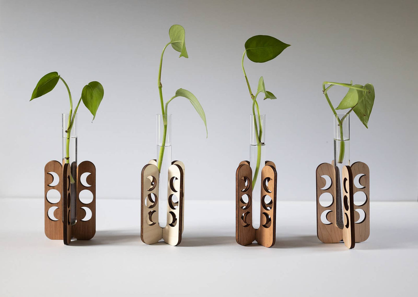 Moon Phase Tabletop Propagation Station