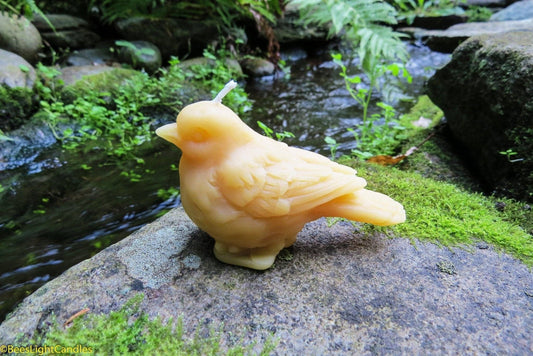 Little Bird Beeswax Candle
