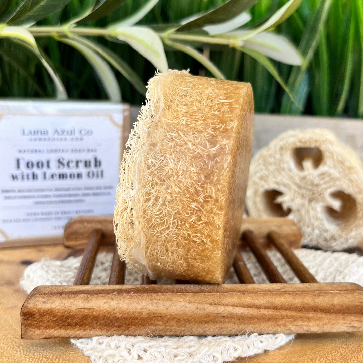 Foot Scrub Shredded Loofah & Loofah Slice Soap Bar