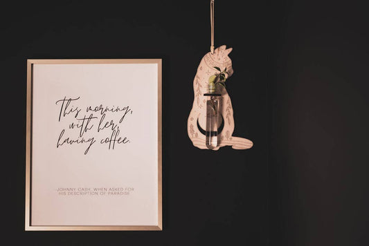 Cosmic Cat Wall Propagation Station