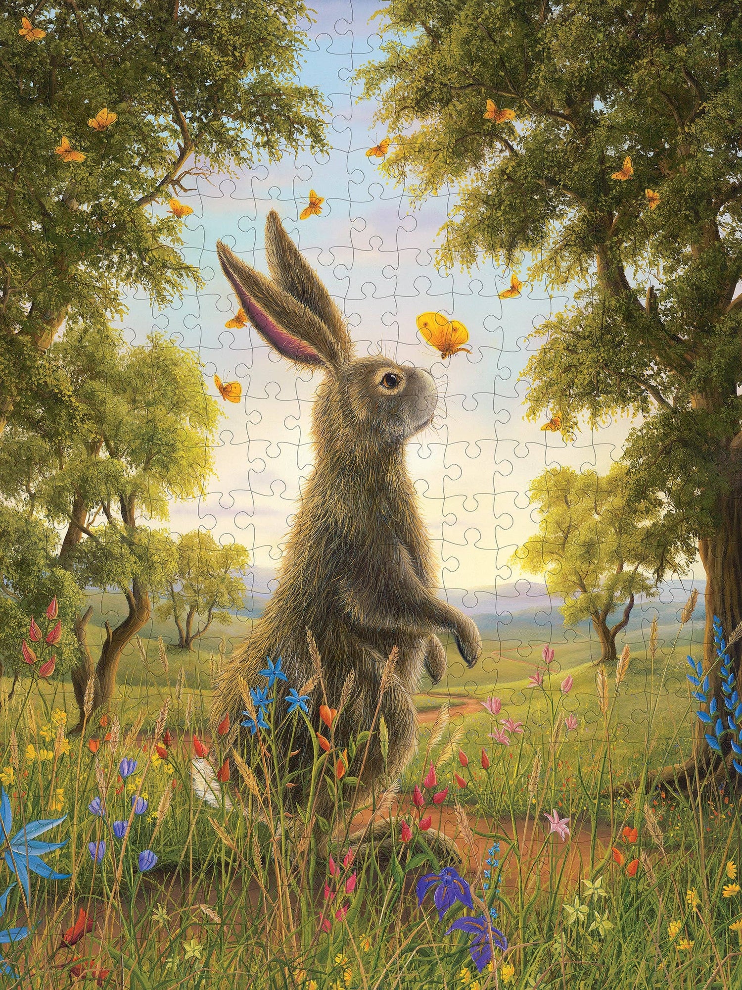 Puzzles 🧩