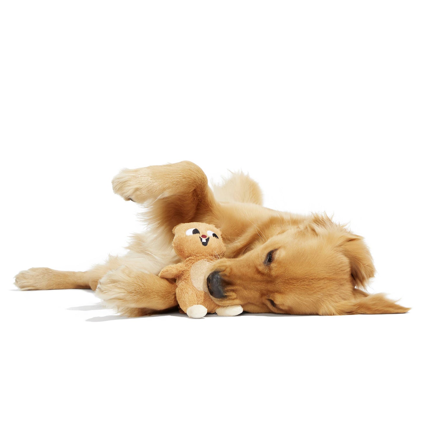 Pearl Squirrel Plush Dog Toy