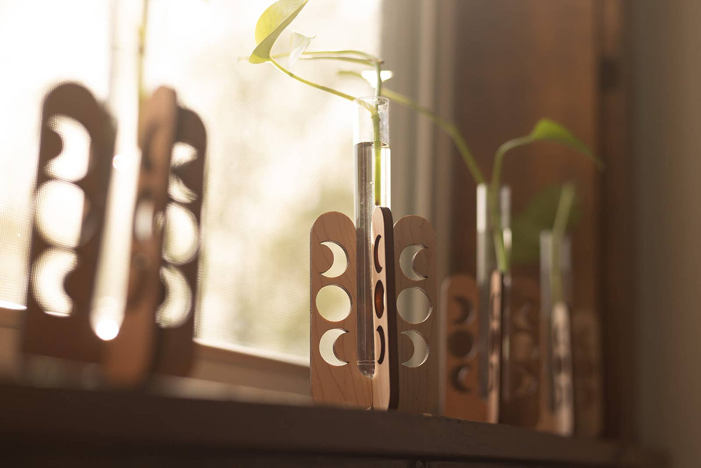 Moon Phase Tabletop Propagation Station