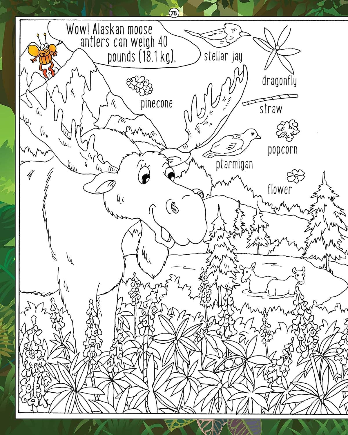 Hidden Picture Puzzles - In the Forest - Seek & Find Puzzles