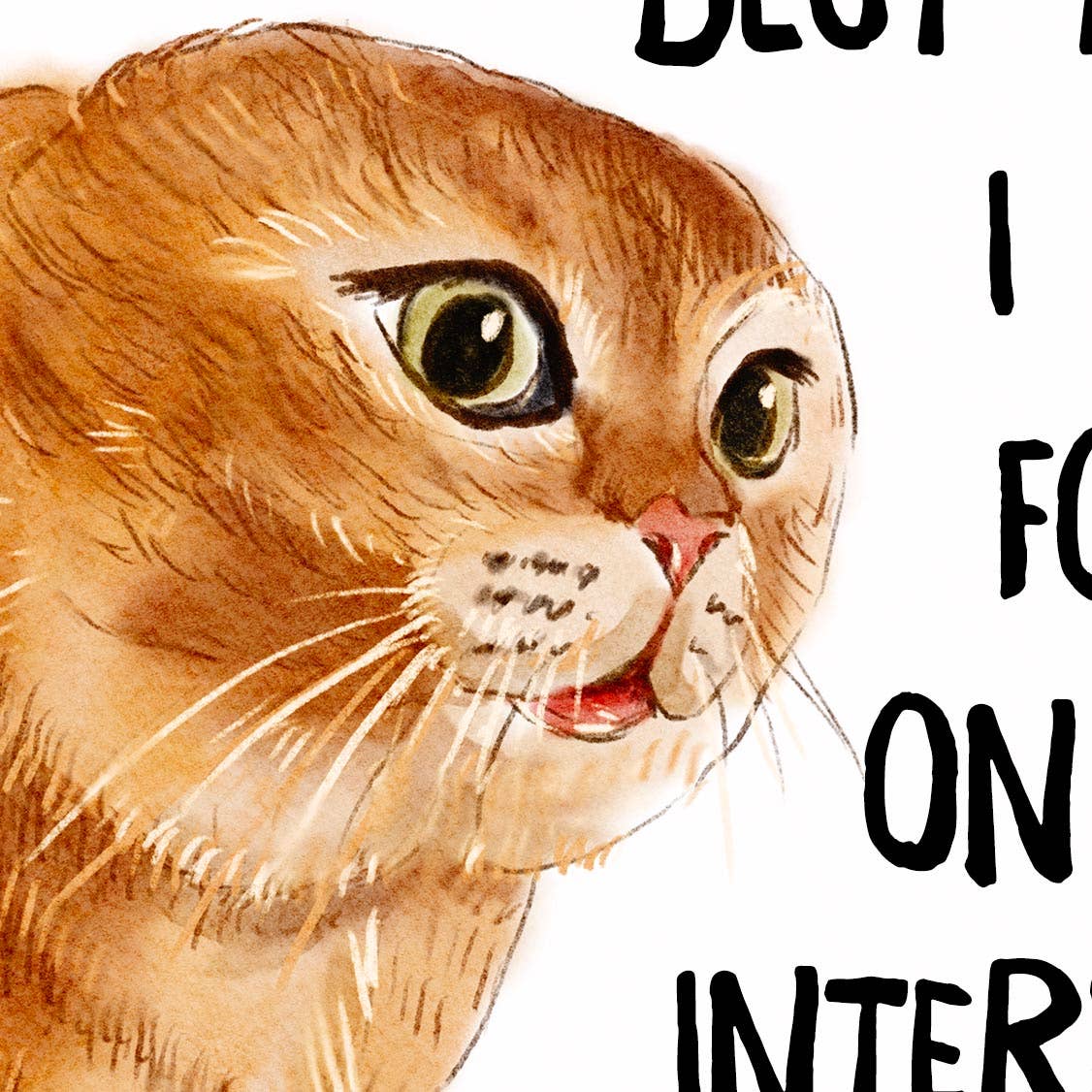 Cat Meme Greeting Card