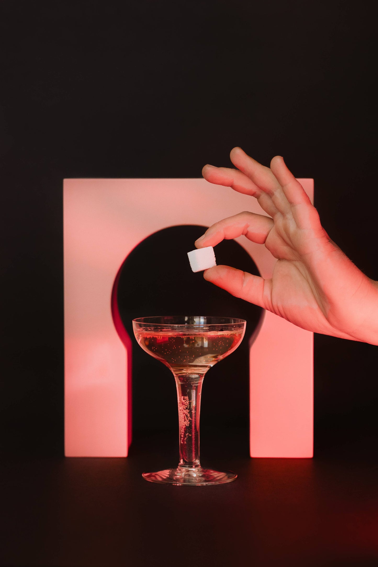 Meyer Lemon Champagne & Cocktail Cubes