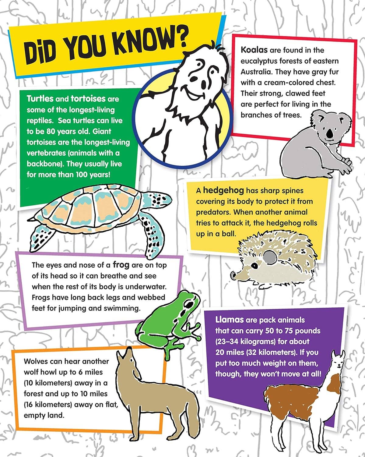 BigFoot Activity Book - Coloring & Stickers for Kids