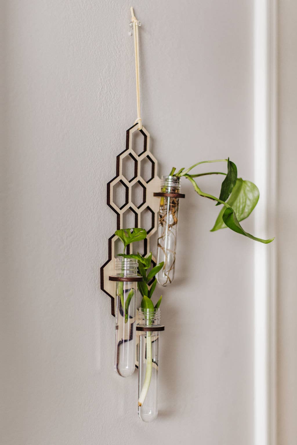 3 Tube Honeycomb Hanging Propagation Station: Dark Wood / Glass Tube