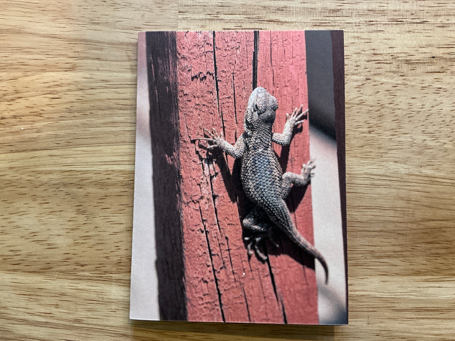 Lizard Greeting Card