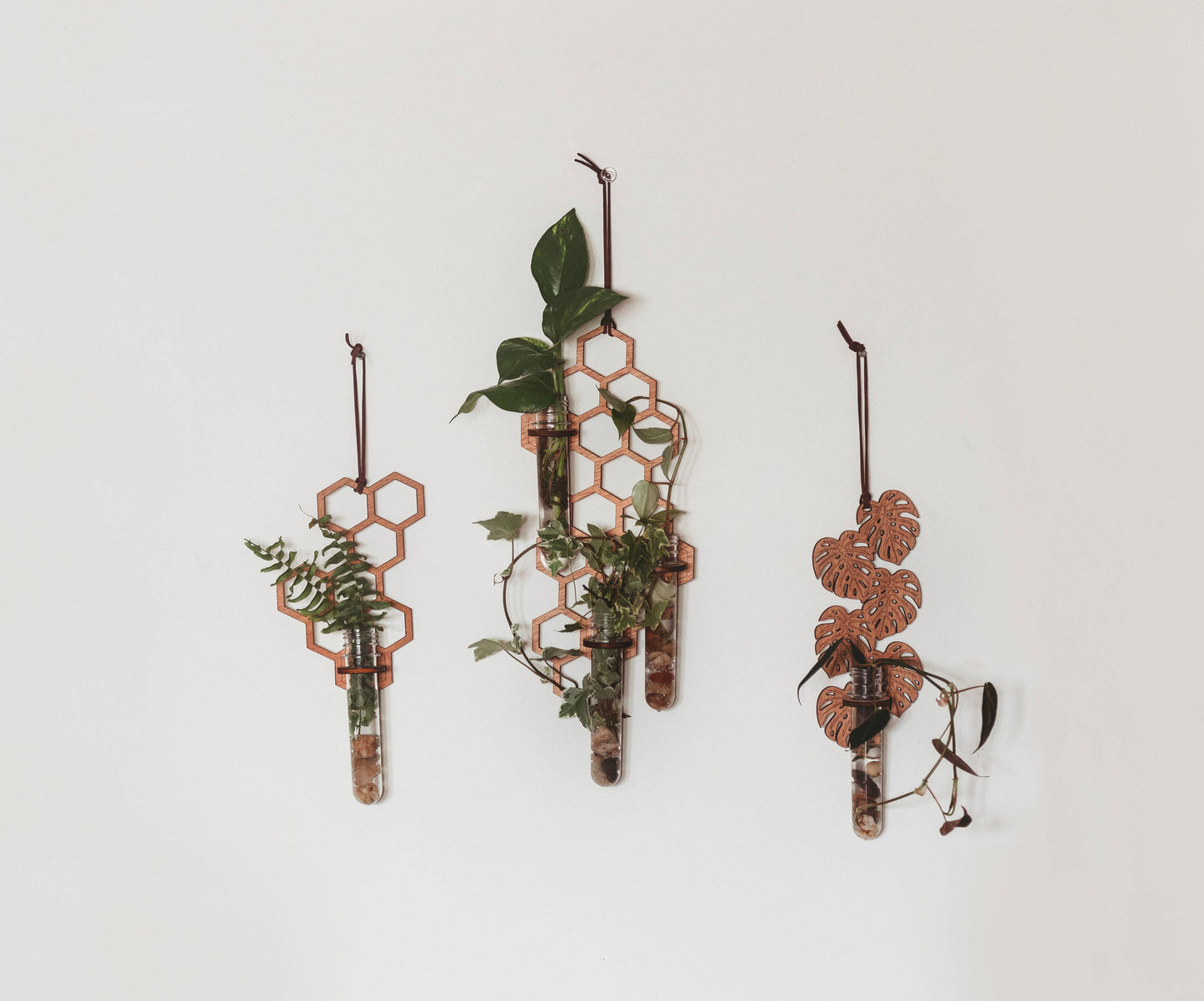 3 Tube Honeycomb Hanging Propagation Station: Dark Wood / Glass Tube