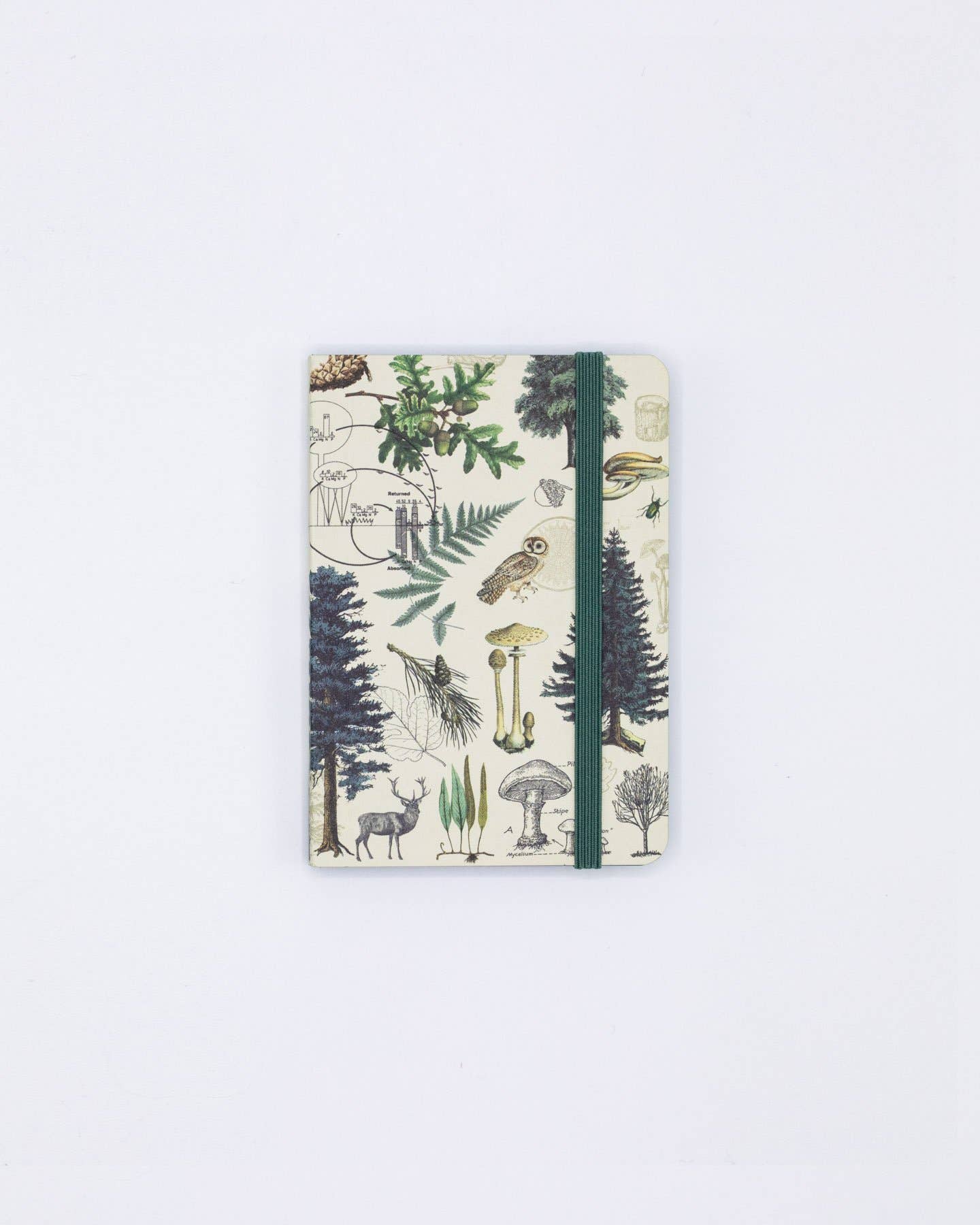 Into the Forest Observation Softcover