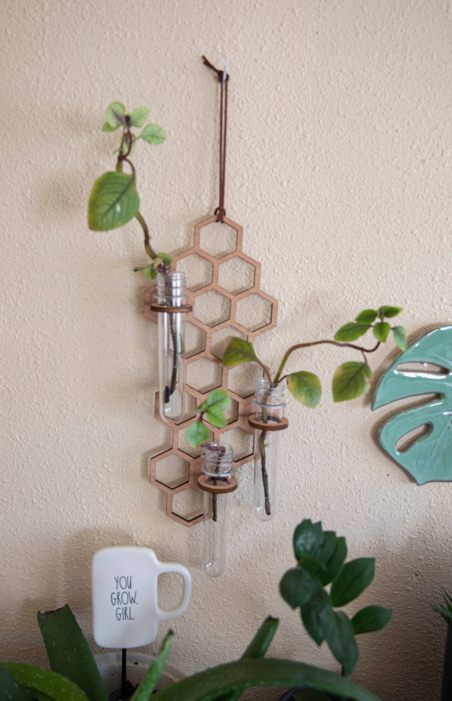 3 Tube Honeycomb Hanging Propagation Station: Dark Wood / Glass Tube