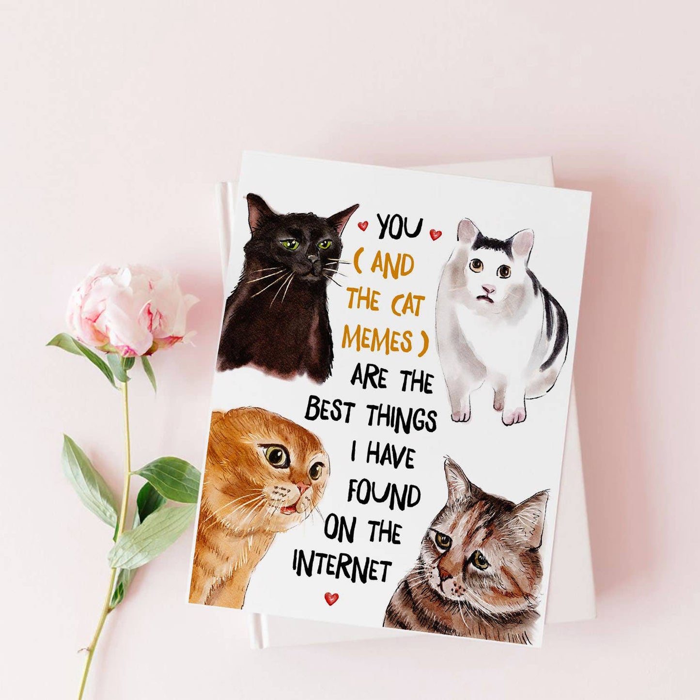 Cat Meme Greeting Card