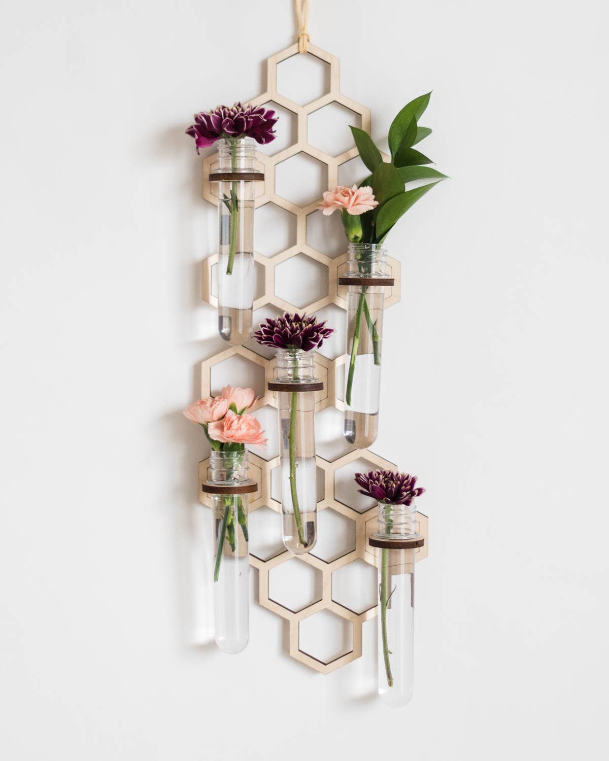 5 Tube Hanging Honeycomb Propagation Station