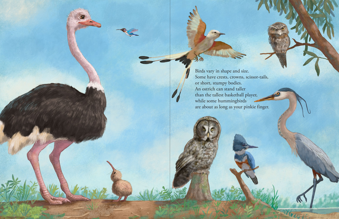 All the Birds in the World