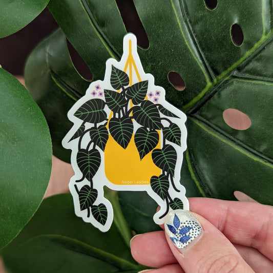 Pothos Trailing Plant Vinyl Sticker