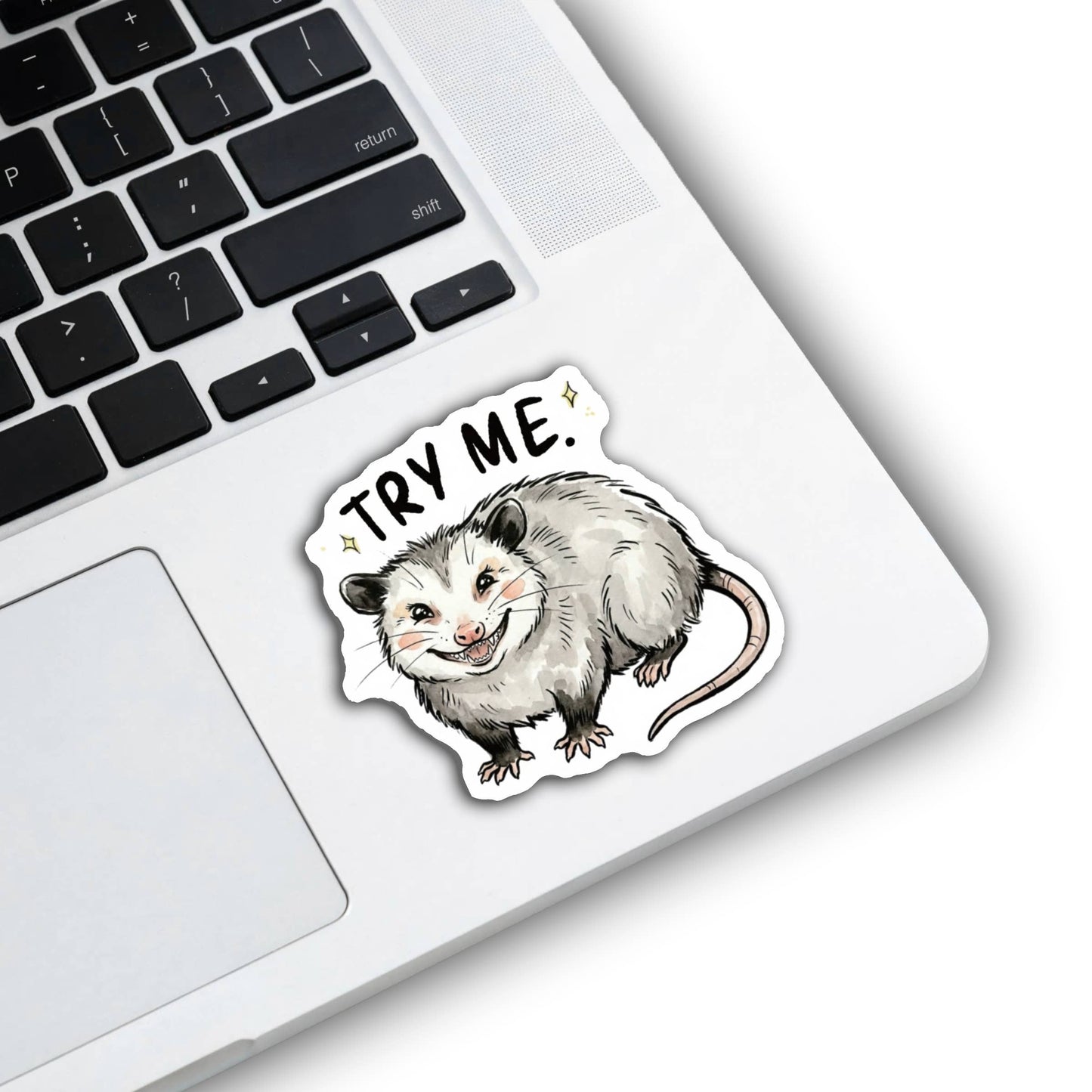 Try Me Possum Sticker