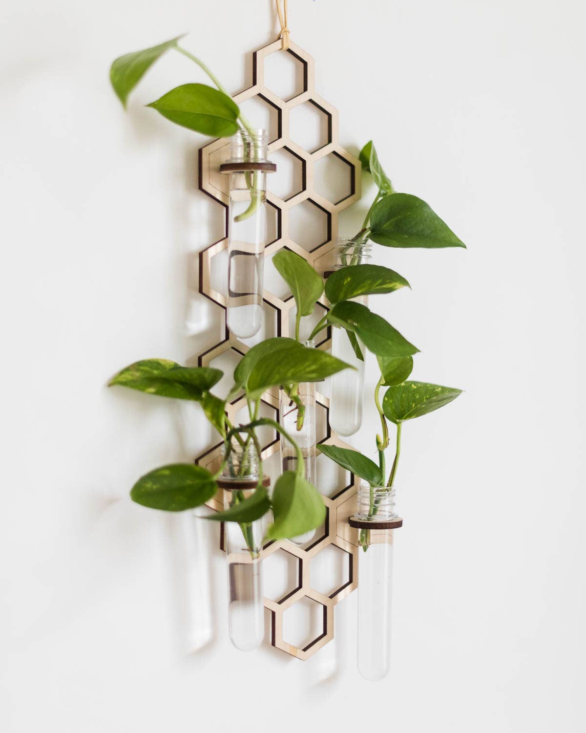 5 Tube Hanging Honeycomb Propagation Station