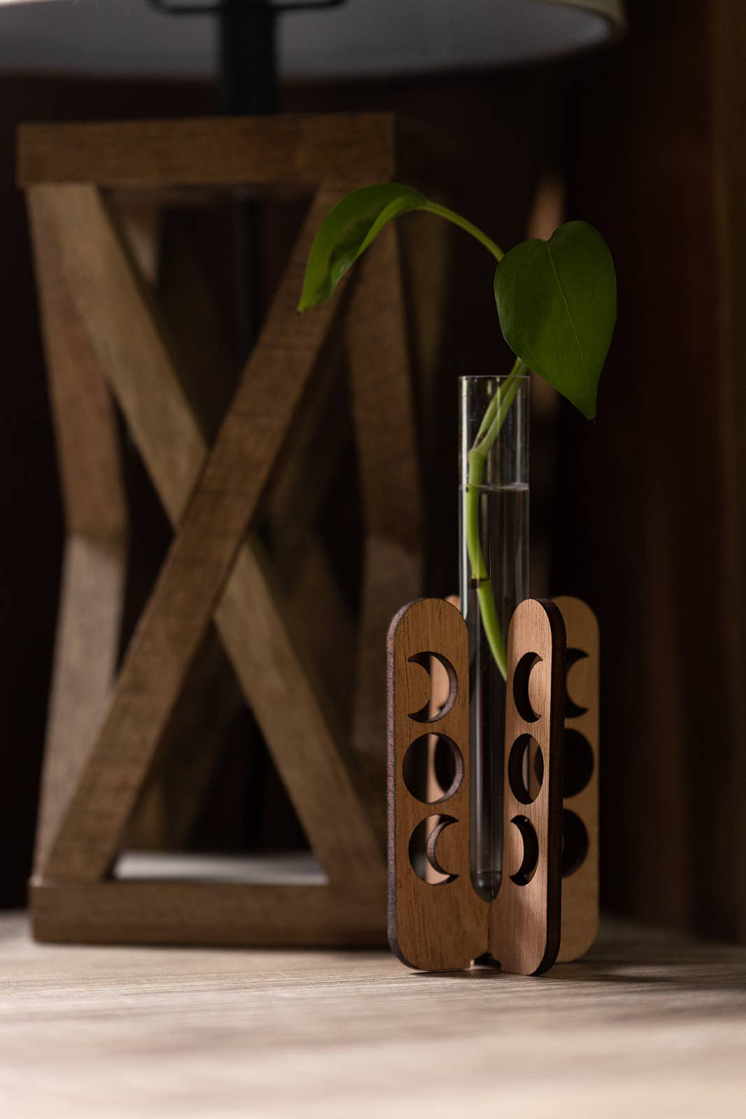 Moon Phase Tabletop Propagation Station