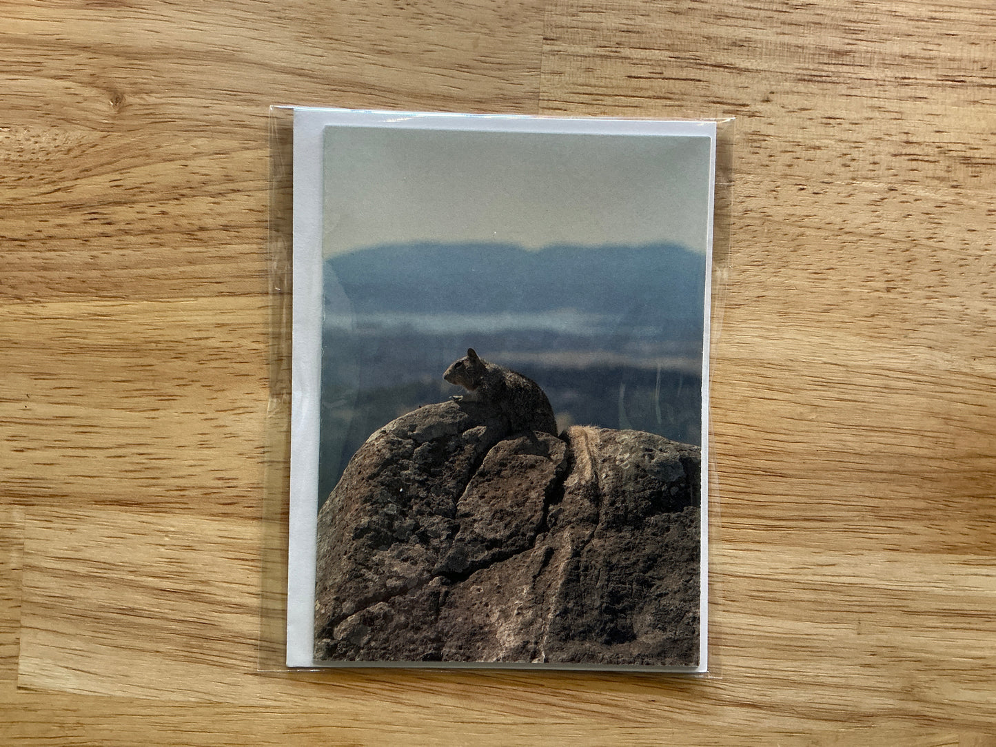 Squirrel Greeting Card