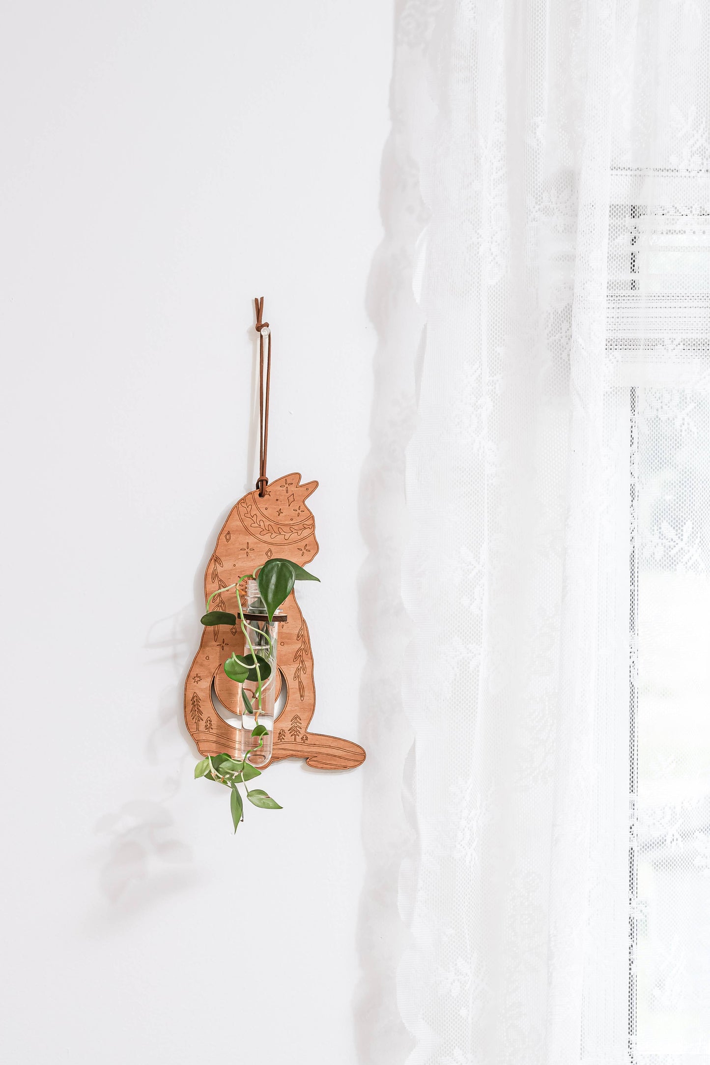 Cosmic Cat Wall Propagation Station