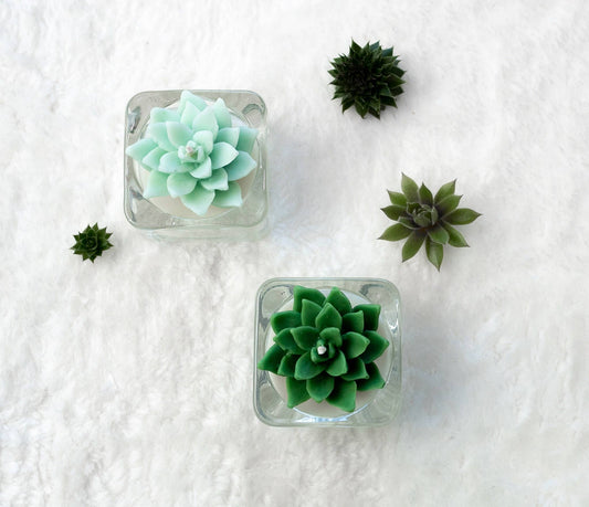 Succulent Tealight Soy Candle