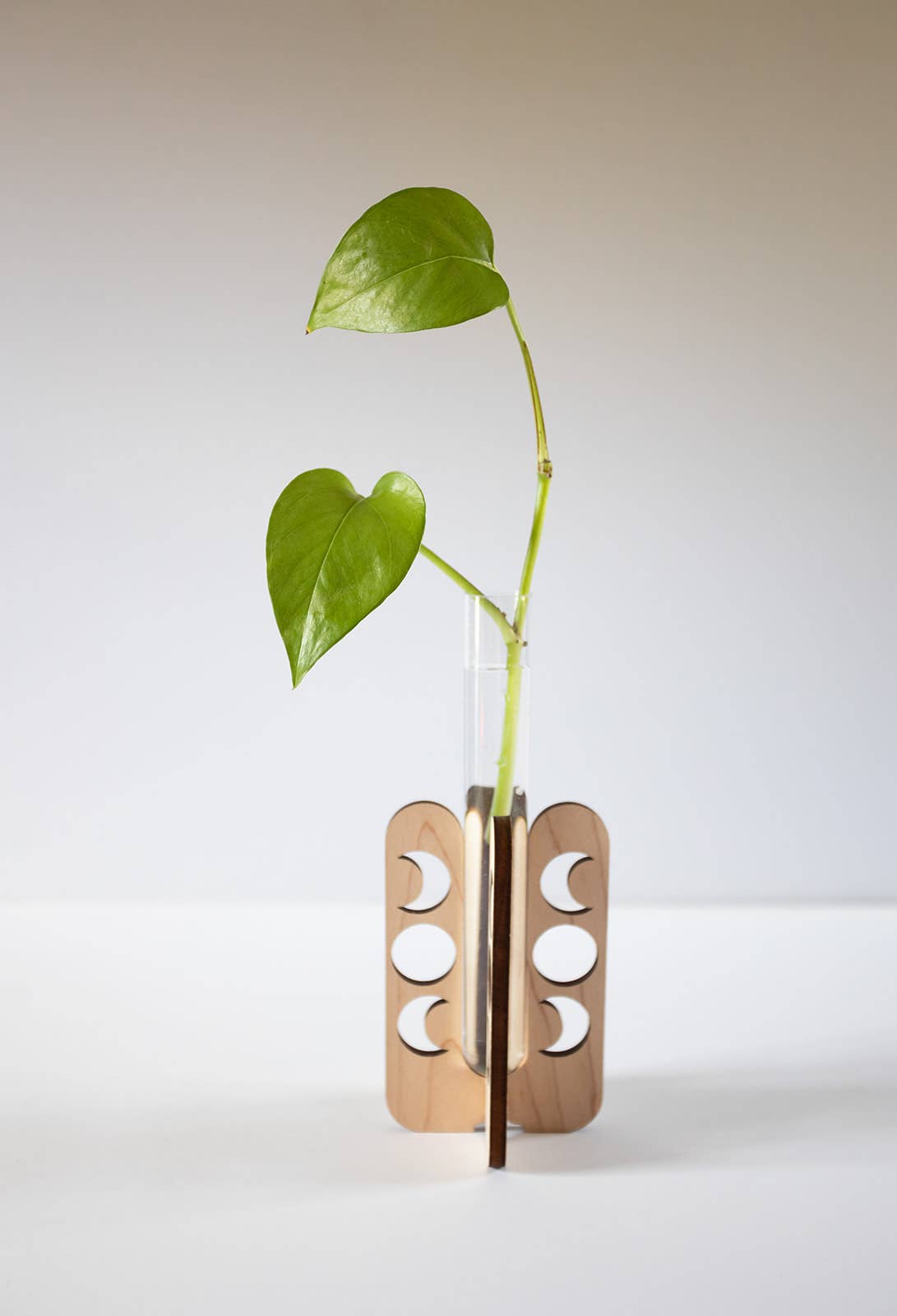 Moon Phase Tabletop Propagation Station