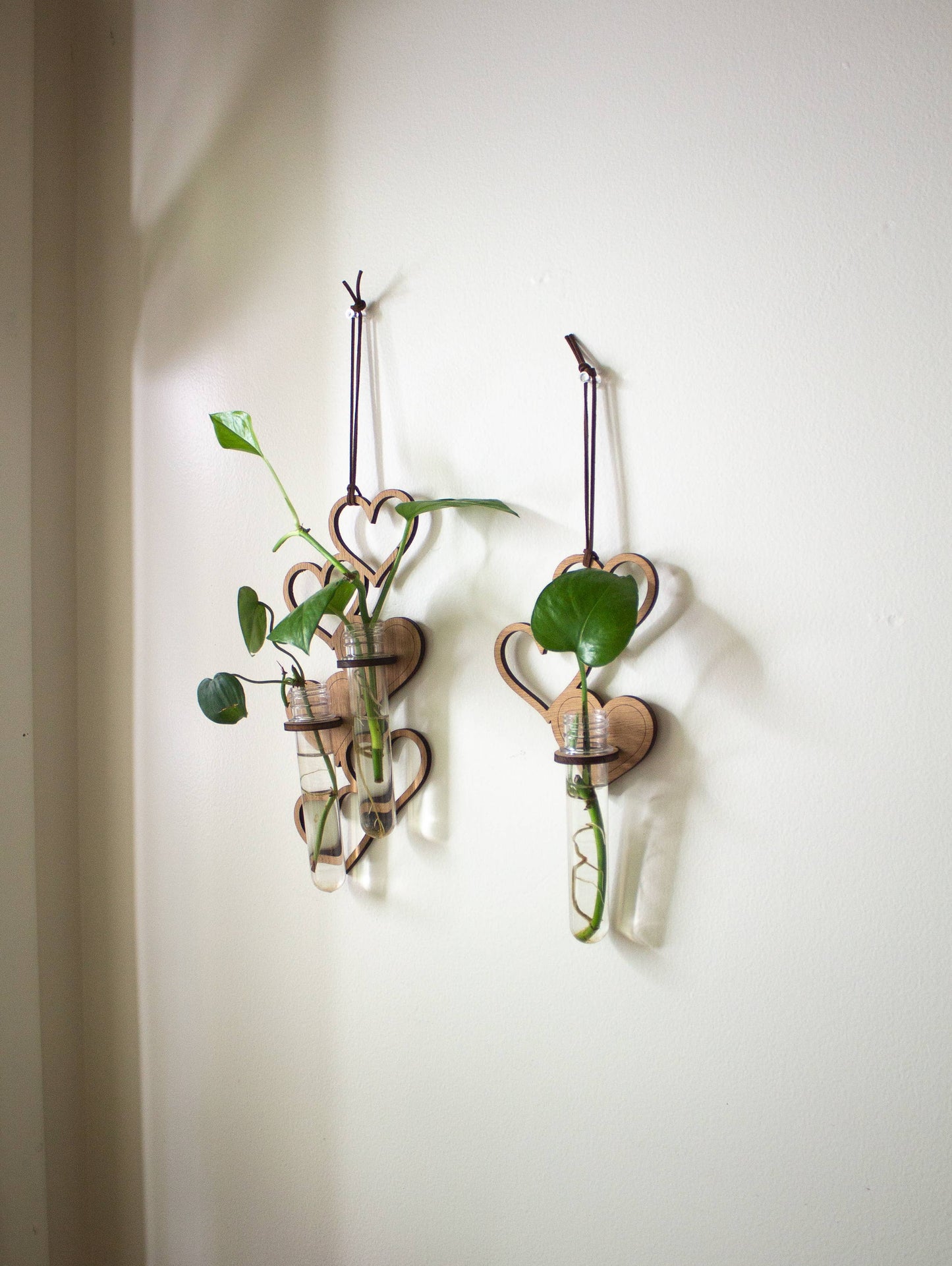 1 Tube Heart Hanging Propagation Station