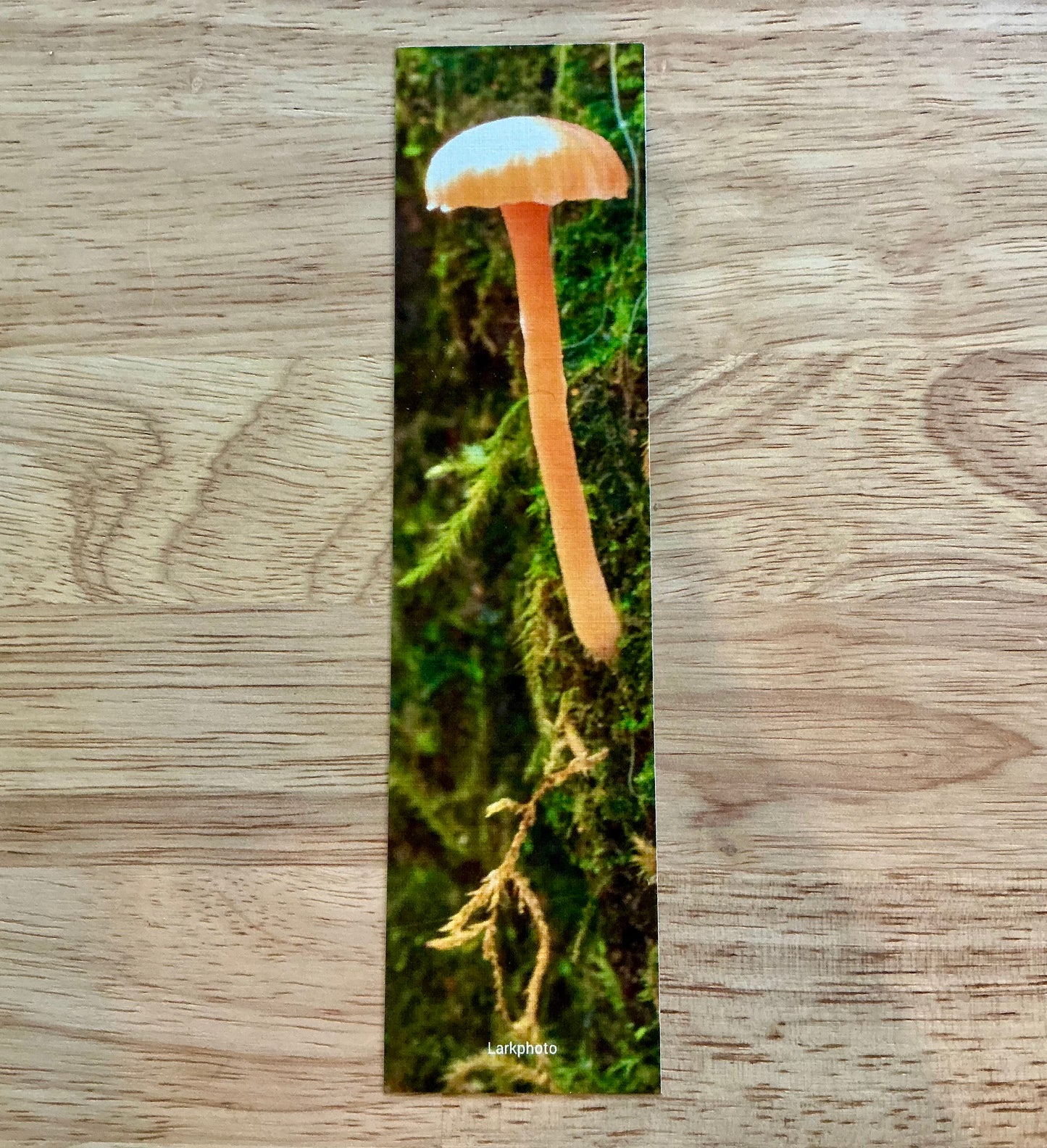 Mushroom Bookmark