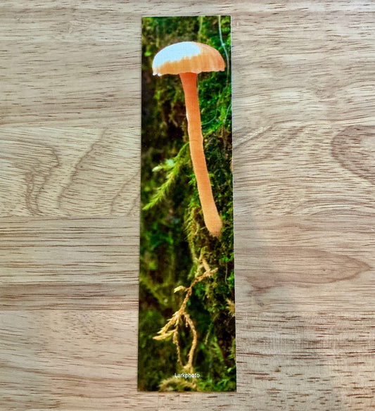 Mushroom Bookmark