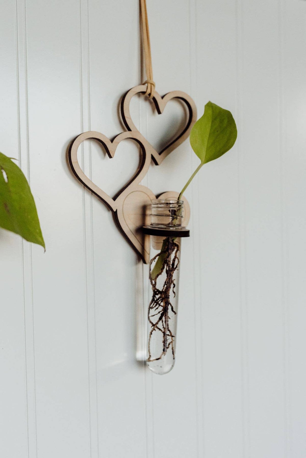 A few hanging wooden hearts, with a wooden ring holding up a clear test tube. The tube is full of water and has a small cutting of a plant growing in it.