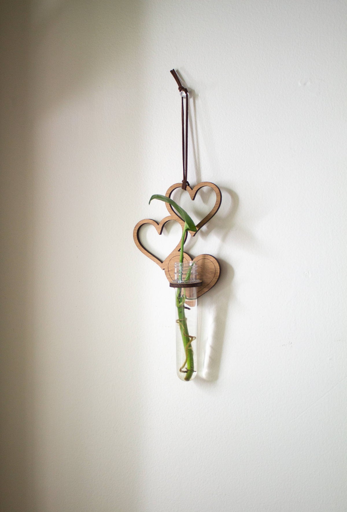 A few hanging wooden hearts, with a wooden ring holding up a clear test tube. The tube is full of water and has a small cutting of a plant growing in it.